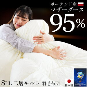 y1101:5910OFFN[|z Hѕzc }U[O[X _E95 VOO 150×230cm w u4240v_Ep[440dpȏ |[hY v~AS[h  80ȃTe