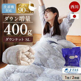 【19日20時〜2H限定クーポンで10％OFF】西川 ダウンケット 日本製 グースダウン90% 400g 増量タイプ 1枚 / 2枚組 40マス 羽毛 肌掛け シングル ホワイトグース 洗える ウォッシャブル 速乾 夏の羽毛布団 羽毛肌掛け布団 シングルロング 150×210cm 肌掛け布団 夏 夏用 丸洗い