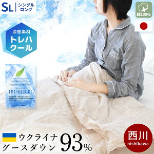 y11/1N[|11OFFz􂦂_EPbg VO  O[X_E93 1 / 2g |zc H | O[X Hє|zc gnN[ 100 Hѕzc ėp VO 