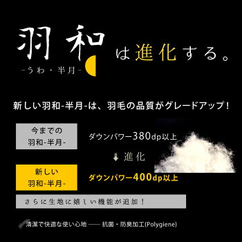 【ポイント10倍】羽毛布団シングルグース昭和西川二層キルトホワイトグースダウン90%400dp1.2kgシングルロング150×210cm「羽和半月」掛け布団送料無料【あす楽対応】【UM10】暖かい