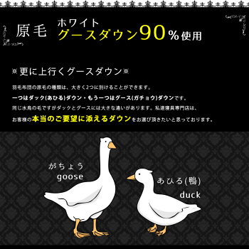 西川羽毛布団シングル羽毛布団【クーポンで1000円OFF】日本製60超長綿サテン綿100%国産二層キルト長白ホワイトグースダウン90%増量1.3kgシングルロングサイズ150×210cm「羽和半月」掛け布団送料無料【あす楽対応】
