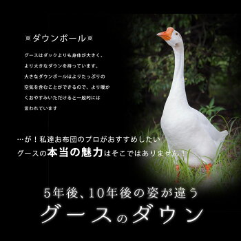 西川羽毛布団シングル羽毛布団【クーポンで1000円OFF】日本製60超長綿サテン綿100%国産二層キルト長白ホワイトグースダウン90%増量1.3kgシングルロングサイズ150×210cm「羽和半月」掛け布団送料無料【あす楽対応】