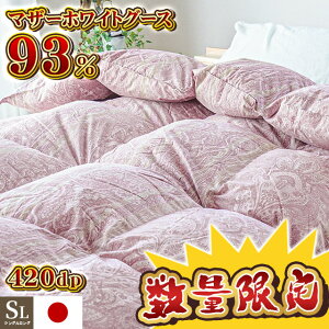 y420`2H10OFFN[|zHѕzc VO }U[O[X zCg}U[O[X_E93 420dp { 1.1kg gя _E  Y zc |zc |zc  HтӂƂ H