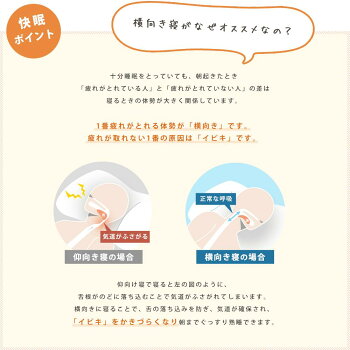 【送料無料】L字型抱き枕熟睡ポジションが見つかるまくら枕抱きまくら帝人クリスター(R)ECO使用わた枕国産綿100%横向き寝横寝マタニティ安眠熟睡【あす楽対応】