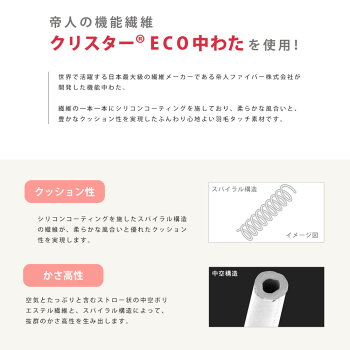 【送料無料】L字型抱き枕熟睡ポジションが見つかるまくら枕抱きまくら帝人クリスター(R)ECO使用わた枕国産綿100%横向き寝横寝マタニティ安眠熟睡【あす楽対応】