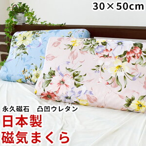 y1520`2HN[|10OFFzyNzy􂦂Jo[tz{ C MAGNET PILLOW _uʁFCʁ` 50×30cmyQԂ   c Mtg v[g 3