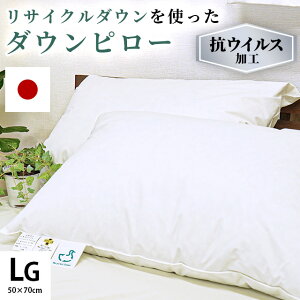 y420`2H10OFFN[|z { Hі  43×63cm 50×70cm TCN_E RECX _Es[ 550g H ܂ H QԂ   т Y TXeiu ӂ