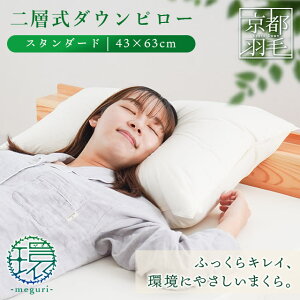 y2020`2H10OFFN[|zyMtgz{ zedl Hі _Es[ ӂ H TCN_E w_Es[ X^_[h 43×63cmA50×70cm  񂱂 