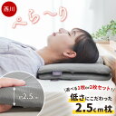 【クーポンで100円OFF】西川 枕 低め 低反発 柔らかい 低さにこだわった 枕 ぺらーり もっちり やわらか 枕 50×30cm 高さ：約2.5cm 2枚組 1枚単品 選べる 低反発ウレタン 足枕 腰枕 隙間クッション 薄手 2枚セット 低い枕 肩口フィット 高さ調整 女性 お中元 【RR9C】