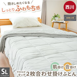 ӂ  |zc |zc VO  }CNV |400g |700g |zc ~p 2킹 킽Iׂ 􂦂 I[V[Y LgPbg Ќ H