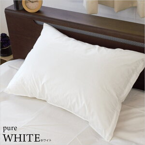 x h_j { Jo[ 50×70 s[P[X n x[W AC{[ zCg sP[X ܂Jo[ 50×70cm 70×50cm Y pbg PALETTE