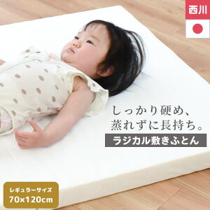 y18|Cg5{z xr[ ~zc ~jTCY 60×90cm M[ 70×120cm 13gvV[ctZbgIׂ { EF[u\ xr[p WJ~zc WJ ~