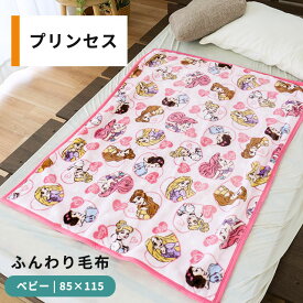 ディズニー ベビー 毛布 85×115cm 保育園 お昼寝ケット ニューマイヤー 暖か 冬 保育所 お出かけ 洗濯機OK 洗える かわいい お昼寝 ブランケット キッズ こども ひざかけ キャラクター プリンセス ミッキー アナと雪の女王 節電