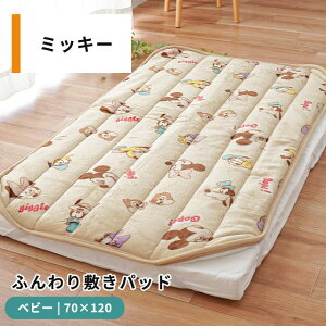 yLINEo^100~OFFN[|zfBYj[ g ѕz ~pbh qǂ 70×120cm OK 􂦂 ۈ牀 ۈ珊 ct q Baby LbY xr[ 킢 Soh ѕz~pbh ѕzV[c 