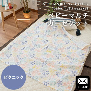 yLINEo^100~OFFN[|zylR|Xz[~ ͂؂ނ xr[ Pbg K[[ K[[Pbg }` 100×100cm ۈ牀 QPbg 100 ۈ珊 o @OK EHbV