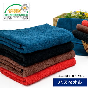 ジェネラルカラー 無地 バスタオル (60×120cm) エコテックス規格100認定 | エコテックスタオル おしゃれ シンプル かっこいい 渋い クール系 メンズ 男性向け 男性用 黒 ブラック ハロウィン