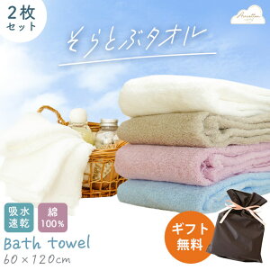 y420`2H10OFFN[|zyMtgzy2ZbgzƂԃ^I oX^I 60×120cm B^I 100% GA[tB[O y z  Z   O[ n