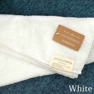 y݌Ɍz^I tFCX^I XCb`pC zgp  34×80 RR`Gi cocochiena zCg 