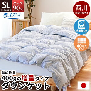 yN[|500~OFFz _EPbg { O[X_E90% 400g ʃ^Cv 1 / 2g 40}X H | | VO zCgO[X 􂦂 EHbVu  ẲHѕzc H