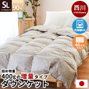 y1820`2H10OFFN[|z _EPbg Y VO _E90 400g ʃ^Cv 40}X ẲHѕzc Hє|zc 􂦂 EHbVu  VOO 150×210cm 