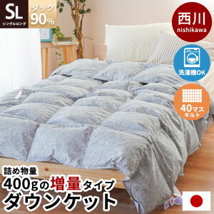 【27日09:59迄最大1万円OFFクーポン】西川 ダウンケット 国産 シングル ダウン90% 400g 増量タイプ 40マス 夏の羽毛布団 羽毛肌掛け布団 洗える ウォッシャブル 速乾 シングルロング 150×210cm 薄