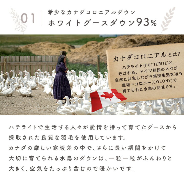 楽天市場】ダウンケット シングル グース93% 掛け布団 夏用 ホワイト 