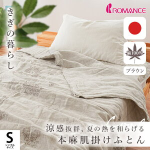 y2520`2H10OFFN[|z|zc  ߍ] VO ̕炵 zc 140×190cm n 100 }Xl ~[  LgPbg t  I[V[Y VRf 