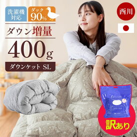 【訳あり】西川 ダウンケット シングル ダウン90％ 国産 40マス 洗える 400g 増量タイプ 羽毛 肌掛け ウォッシャブル 速乾 夏の羽毛布団 羽毛肌掛け布団 シングル ロング 150×210cm グレー ベージュ 肌掛け布団 肌布団 夏 夏用 丸洗い 日本製 nishikawa アウトレット