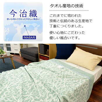 ロマンス小杉タオルケット今治織ゆったりサイズ綿100%シングル150×200cmコットンパイル地夏肌掛けタオルケット丸洗い