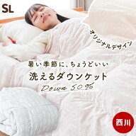 【初夏快眠祭10％OFFクーポン】西川 ダウンケット シングル ダウン50％ 0.25kg お買得2枚セットも 洗える…
