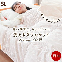 楽天市場】ダウンケット0.25kgの通販