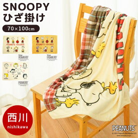 【27日09:59迄エントリーでP4倍】毛布 西川 ひざ掛け 70×100cm スヌーピー PEANUTS もうふ あったか なめらか ブランケット 秋 冬 洗える 薄手 掛け毛布 おしゃれ かわいい SNOOPY ピーナッツ 100×70 節電