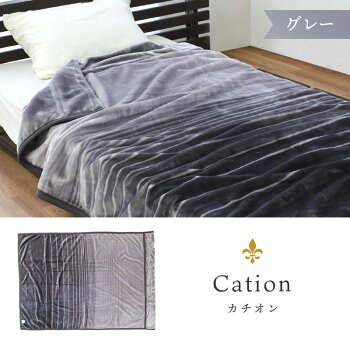 1億円毛布西川毛布シングル2枚合わせ東京西川衿付きマイヤー毛布(140×200cm)もうふ掛けブランケット秋冬寝具ゴールデンナイト洗える二重暖かいおすすめかわいいおしゃれあったか新生活楽天ランキング【あす楽対応】【16日16時〜18日迄P2倍】