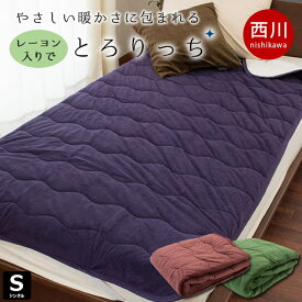 楽天市場 電気敷き毛布の通販