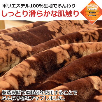 毛布シングル2枚合わせ西川【送料無料】東京西川ふっくら衿付き2枚合わせマイヤー毛布シングル140×200cm吸湿発熱・抗菌防臭シート使用もうふ掛け毛布ブランケット秋冬寝具ゴールデンナイト