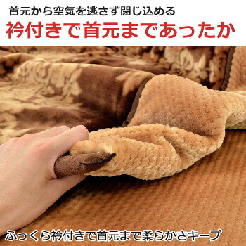 毛布シングル2枚合わせ西川【送料無料】東京西川ふっくら衿付き2枚合わせマイヤー毛布シングル140×200cm吸湿発熱・抗菌防臭シート使用もうふ掛け毛布ブランケット秋冬寝具ゴールデンナイト
