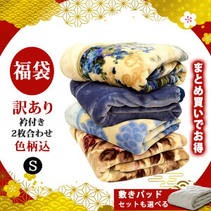 福袋 毛布 シングル 2枚合わせ ★西川の敷きパッド セットも選べる★ 色柄おまかせ(無地含む)【訳あり アウトレット】 マイヤー毛布 140×200cm 掛け毛布 冬 B品 重量いろいろ 毛布 ブランケ
