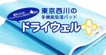 送料無料東京西川ドライウェルプラス吸湿パッドモイスファインEX使用SEK抗菌防臭加工水洗い可能シングル90×180cmブルー西川日本製国産吸湿センサーで色が変化CNT9803401ドライウェル