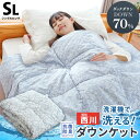【4日20時～SALE】西川 ダウンケット シングル 抗菌防臭 洗濯機で洗える ホワイトダック ダウン70％ 羽毛肌掛け布団 肌掛け布団 ウォッシャブル 洗濯機OK 抗菌防臭 昭和西川 羽毛布団 夏用 詰め物250g 夏掛け布団 シングルロング 150×210cm お中元 ギフト