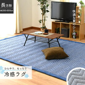 【エントリー＆楽天カードでP4倍】冷感 ラグ 夏用 接触冷感 200×300 SOL ふっくら センターラグ グレー 敷物 敷き物 インテリア さらさら 冷感 爽やか 涼感 おしゃれ ひんやり 洗える 抗菌防臭 SOLシリーズ キャンプ テント 中敷き