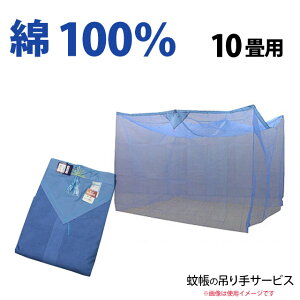 y420`4HN[|10OFFz݂6{g2T[rXY 100 ᒠwȃ^Cvxu[F 10pF10pic3×4×1.9mj悯   xr[ Q Jf XL[