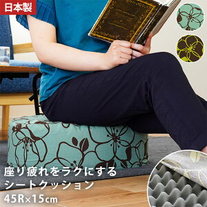 �y15��20���`6H����10��OFF�N�[�|���z�y�݌Ɍ��蔄��s���������z����������N�ɂ���V�[�g�N�b�V���� �u���C���t�����[�v ���z�c ��45R×15cm ���E���h �n�C�^�C�v ��100�� �ԕ� �p�^�[�� �k