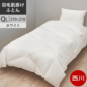 yN[|24OFFz v~A Hъ|zc NC[ |[hYzCgO[X_E93% Hѕzc QL NC[ O 210×210cm 0.9kg { NP7052 zFWH zCg y2024AWzH