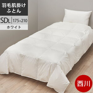 yN[|24OFFz v~A Hъ|zc Z~_u |[hYzCgO[X_E95% Hѕzc SDL Z~_u O 175×210cm 0.35kg { NP7053 zFWH zCg y2024AW