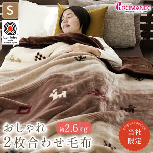 y420`2H10OFFN[|z}X ѕz VO  2킹 { 􂦂 щHAN100% 2킹ѕz 140×200cm Y ܕt ANѕz }C[ df 2.5kg 2.6kg M