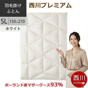 yN[|24OFFz v~A Hъ|zc VO |[hYzCg }U[O[X_E93% Hѕzc SL VO O 150×210cm 1.2kg { NP7054 zFW zCg y2025AW