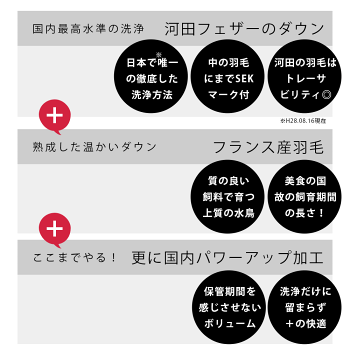 【ポイント10倍】【7年保証】羽毛布団河田フェザーの真羽毛!シングルフランス産ホワイトダックダウン90%増量1.2kgロイヤルゴールドダウンパワー400dp以上国内洗浄パワーアップ加工おすすめランキングラベル日本製国産送料無料【あす楽対応】【UM10】