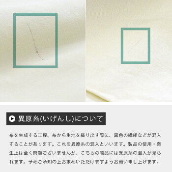 異原糸