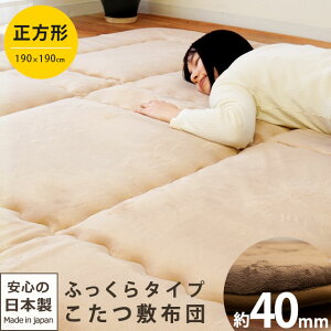 y11/1N[|11OFFzӂ ~zc ` 190×190cm ݖ30mm 4w tln { n x[W uE A~V[g 2 2 O Ɍ ~  R^c z