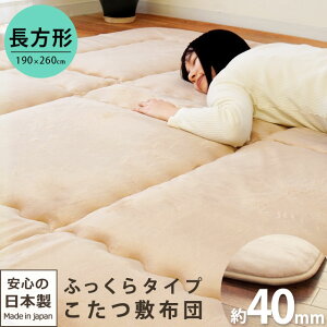 y1520`2H10OFFN[|zݖ40mm Y ӂ ~zc A~V[g ` 190×260cm tln Z^[O ƂĂ { n x[W uE O 